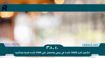 اشحن الآن 12000 شدة في ببجي واحصل على 4560 شدة هدية مباشرة